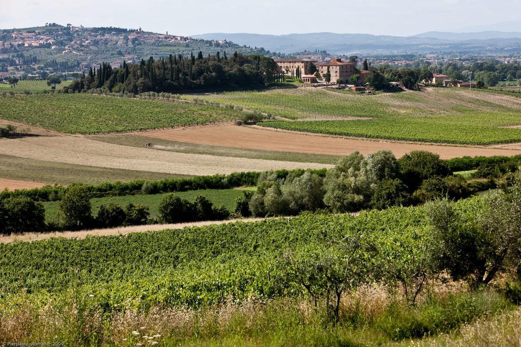Maison d'hôtes Tenuta Di Petriolo à Torrita di Siena Extérieur photo