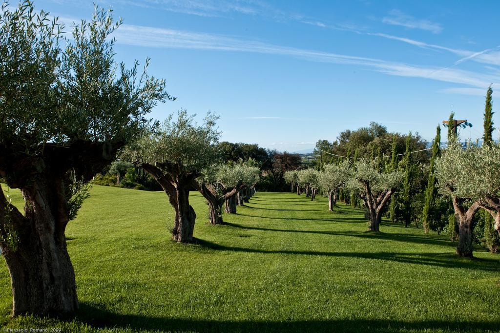 Maison d'hôtes Tenuta Di Petriolo à Torrita di Siena Extérieur photo