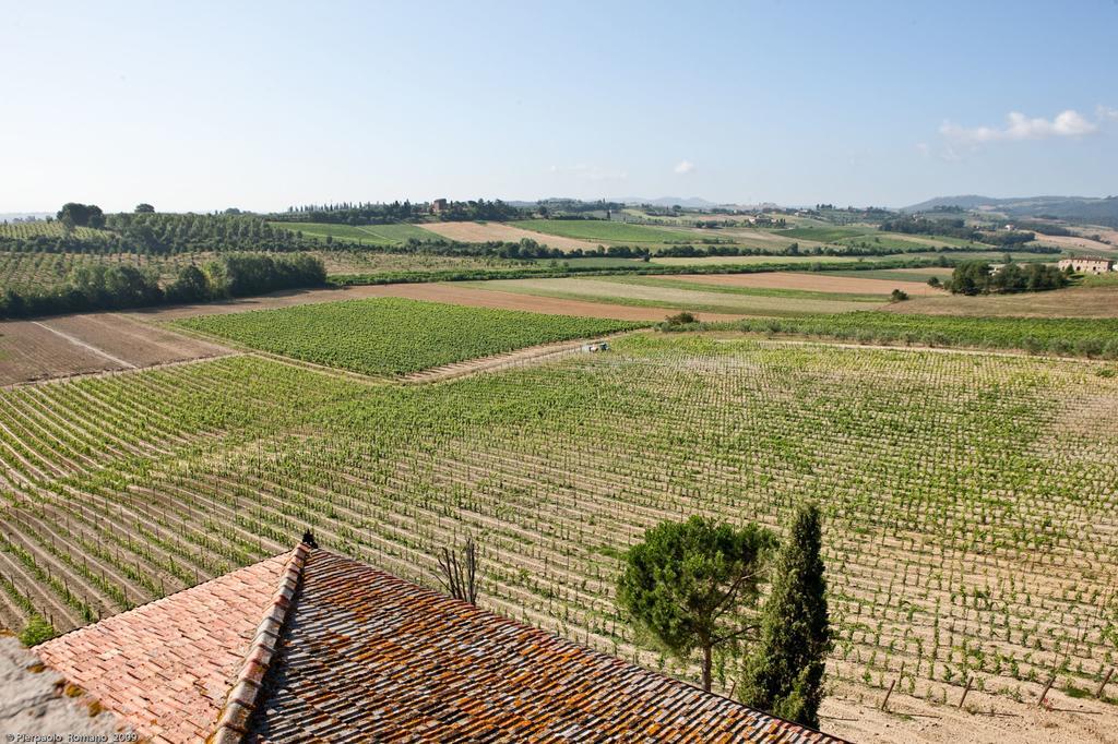 Maison d'hôtes Tenuta Di Petriolo à Torrita di Siena Extérieur photo
